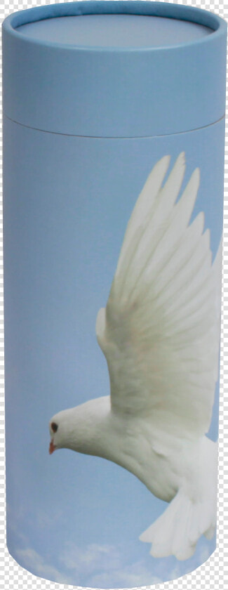 Ascending Dove  HD Png DownloadTransparent PNG