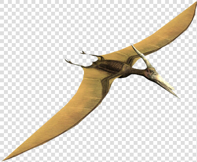 Venturian Battle Headquarters   Pterodactylus  HD Png DownloadTransparent PNG