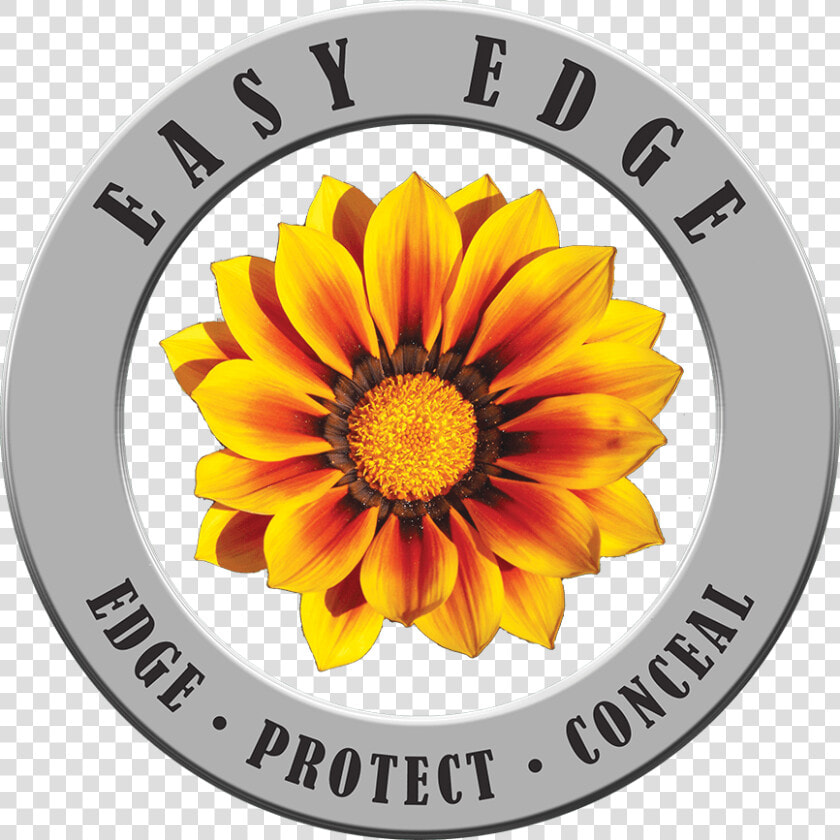 Easy Edge   Flowering Plants Anthophyta  HD Png DownloadTransparent PNG