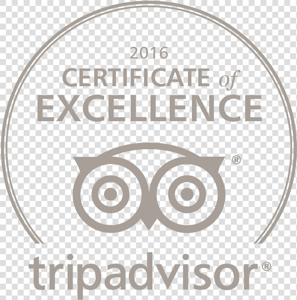 Trip Advisor Logo Certificate Of Excellence Png   2017 Certificate Of Excellence Tripadvisor Png White  Transparent PngTransparent PNG