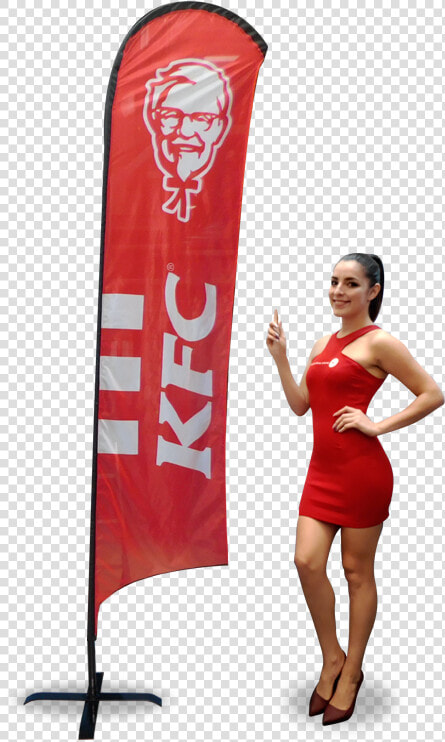 Banderas Publicitarias Nacionales   Banner  HD Png DownloadTransparent PNG