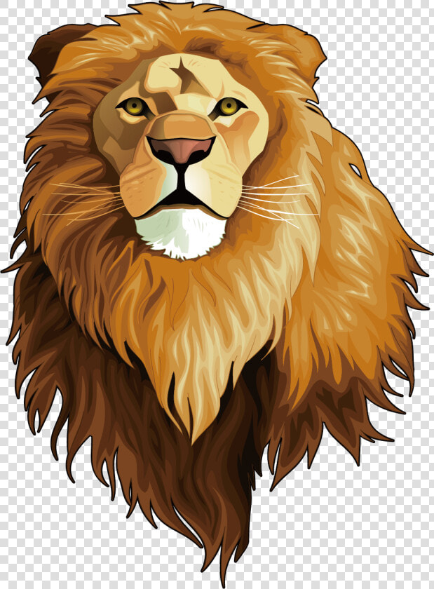 Lion And The Jackal Story  HD Png DownloadTransparent PNG