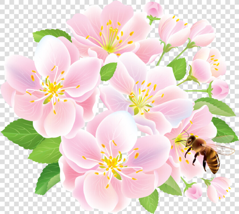 Flower Delivery Floristry Studio Ghibli   Lily  HD Png DownloadTransparent PNG
