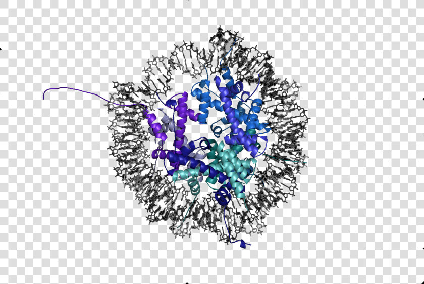 Transparent Webpage Png  Png DownloadTransparent PNG