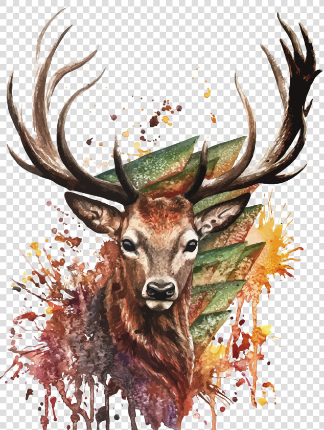 Download Watercolor Painting Vector Deer Drawing Download  HD Png DownloadTransparent PNG