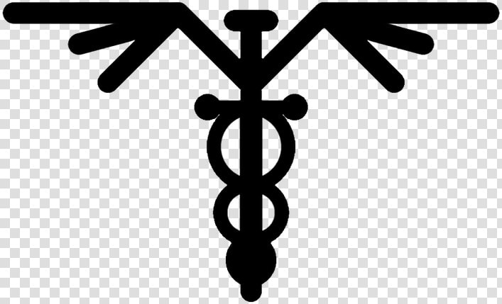 Transparent Caduceus Png   Accounting Caduceu  Png DownloadTransparent PNG