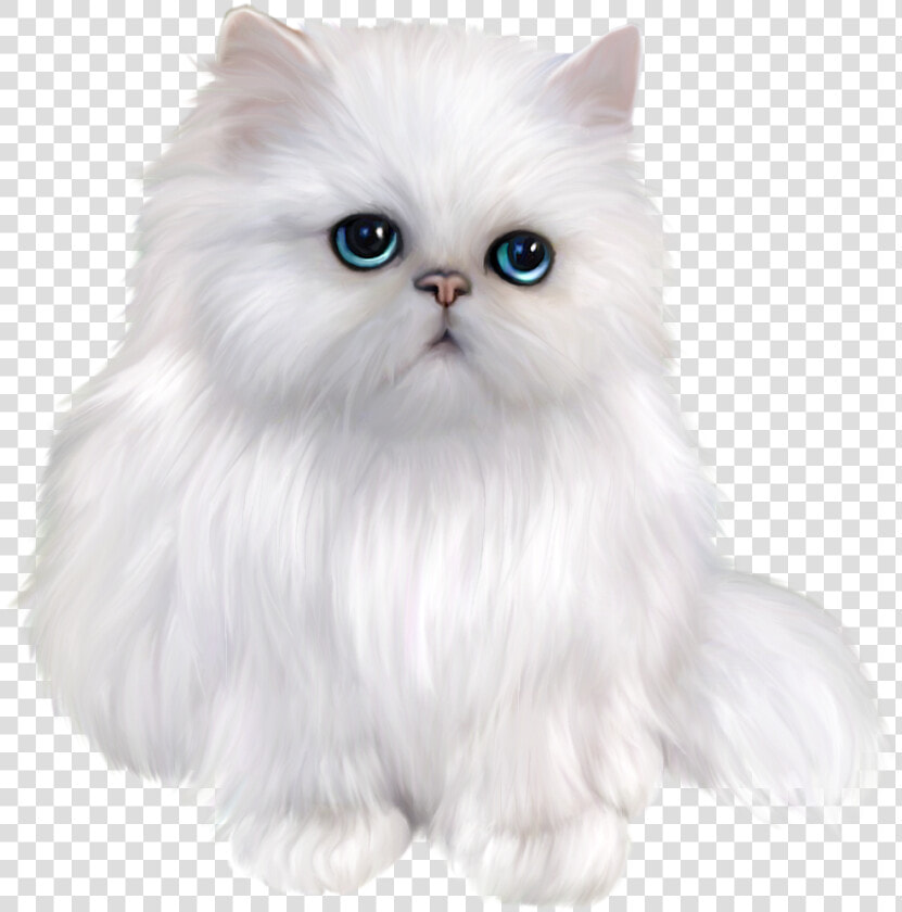 Svg Black And White Stock Transparent Kitten Persian    White Persian Cat Png  Png DownloadTransparent PNG