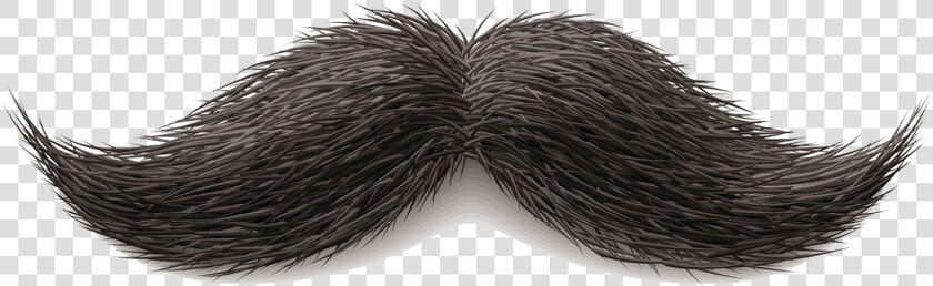 Moustache Png Image   Mustache Png  Transparent PngTransparent PNG
