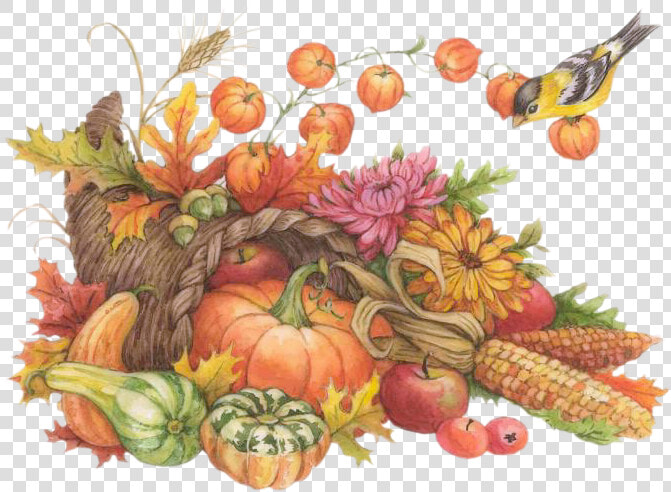 Cornucopia Clipart Service   Thanksgiving Watercolor Clip Art  HD Png DownloadTransparent PNG