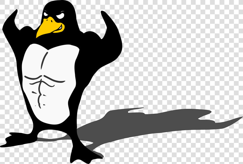 Penguin  Bodybuilder  Linux  Muscle  Tux  Animal  Funny   Penguin Bodybuilder  HD Png DownloadTransparent PNG