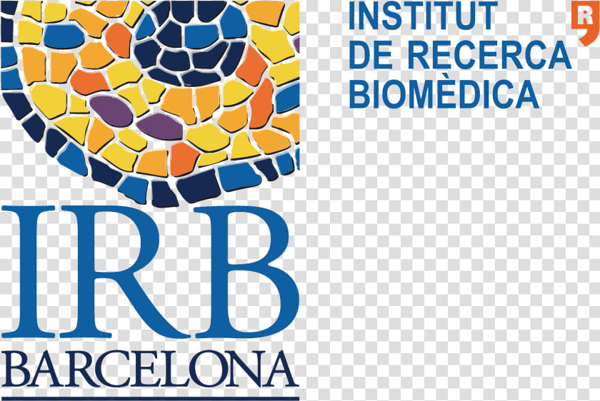 Irb   Irb Barcelona Logo  HD Png DownloadTransparent PNG