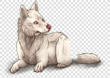 Lioden Albino Wolf Png  Transparent PngTransparent PNG