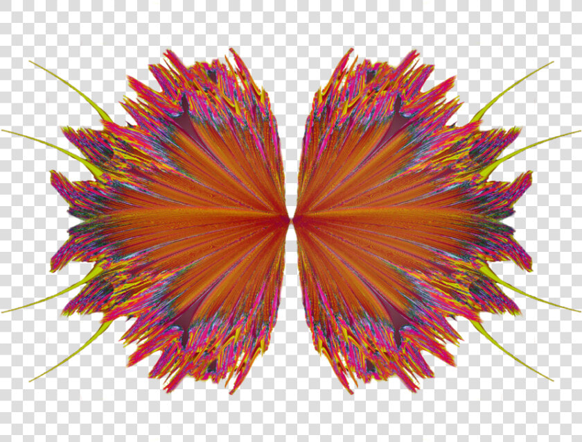 Png Fairy Wing 2 By Moonglowlilly On Deviantart   Graphic Design  Transparent PngTransparent PNG