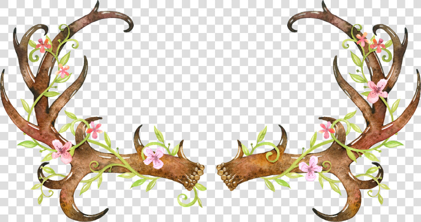 White Tailed Deer Elk Antler Skull   Watercolor Deer Skull With Flowers  HD Png DownloadTransparent PNG