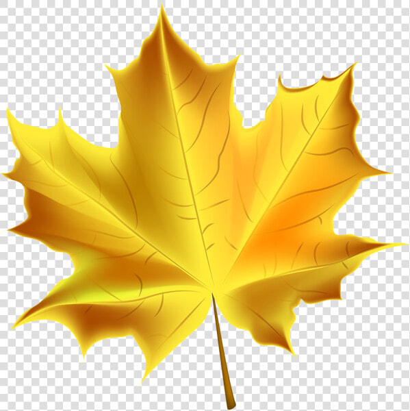 Banner Free Beautiful Yellow Autumn Transparent   Clip Art Transparent Fall Leaf  HD Png DownloadTransparent PNG