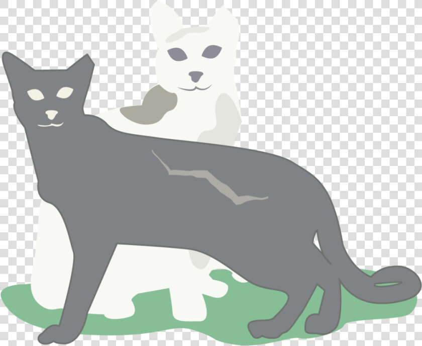 0218 Icehouse Discoverygreen Cat Ej3epv   Black Cat  HD Png DownloadTransparent PNG