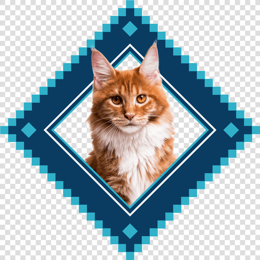 Placeholder Image  HD Png DownloadTransparent PNG