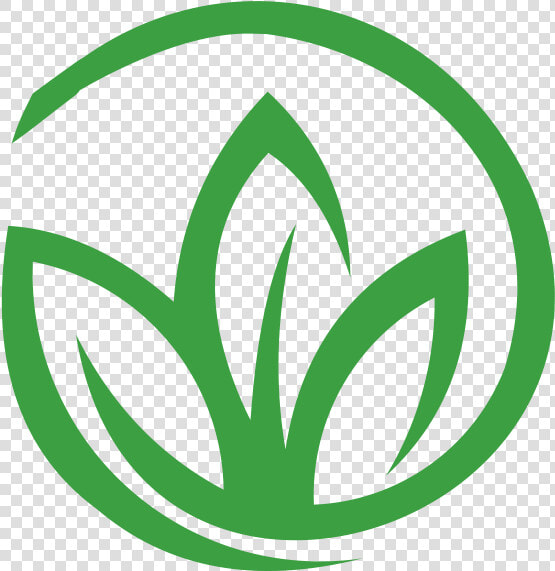 The History Of Medical Marijuana In Lauderhill   Highlife Marijuana  HD Png DownloadTransparent PNG
