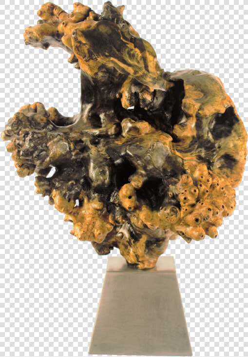 Cranium Nebula Chris Itsell   Museum  HD Png DownloadTransparent PNG