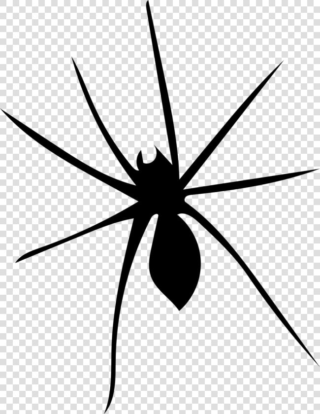 Spider Arachnophobia Arachnid Free Picture   Widow Spider  HD Png DownloadTransparent PNG