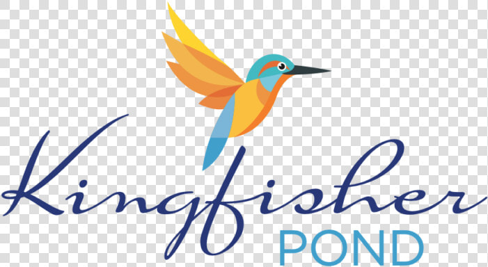 Coraciiformes  HD Png DownloadTransparent PNG