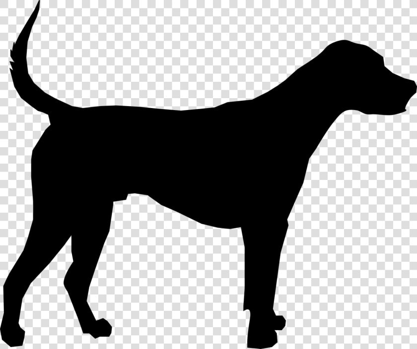 Great Dane Puppy Dog Breed Clip Art   Dog Breed  HD Png DownloadTransparent PNG