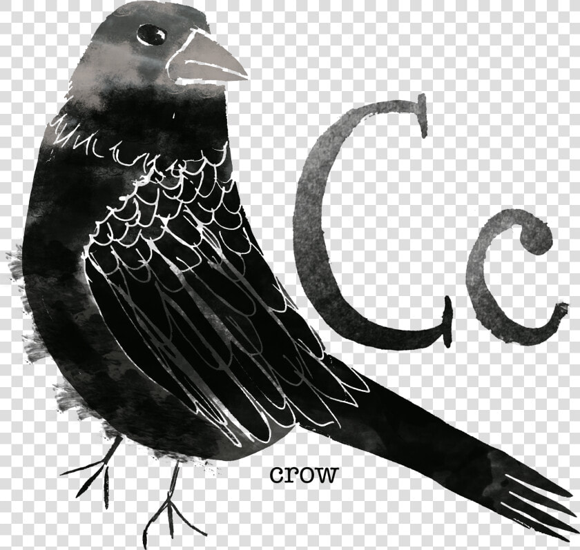 Crow   Rose Breasted Grosbeak  HD Png DownloadTransparent PNG
