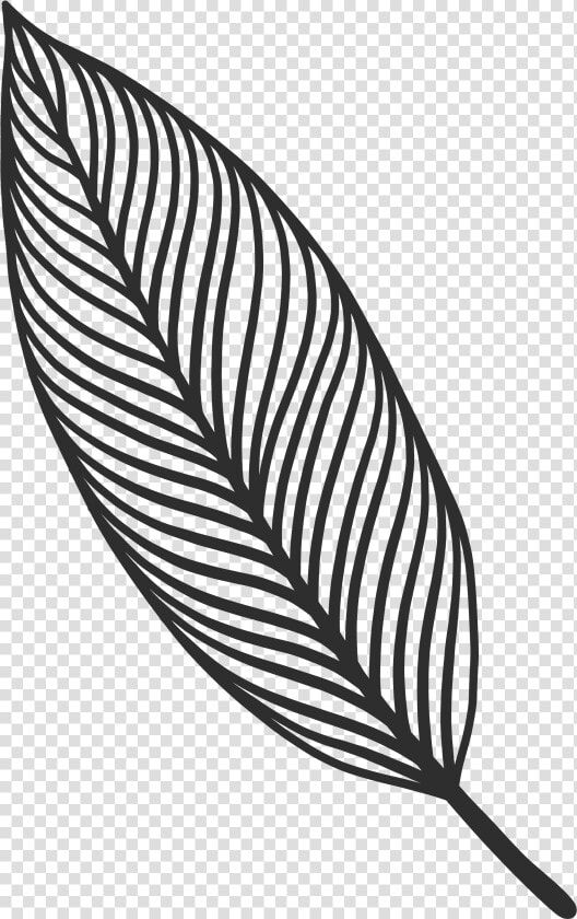 Transparent Hojas De Papel Png   Decoraciones De Hojas De Papel  Png DownloadTransparent PNG