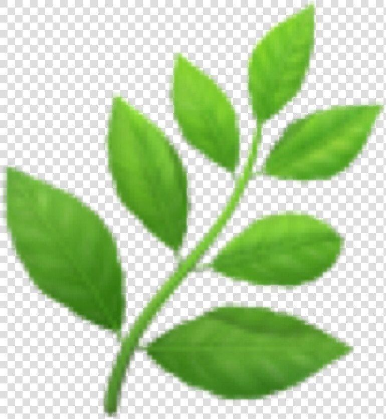 Leaves Emoji Emoticon Iphone Iphoneemo   Herb Emoji Transparent  HD Png DownloadTransparent PNG