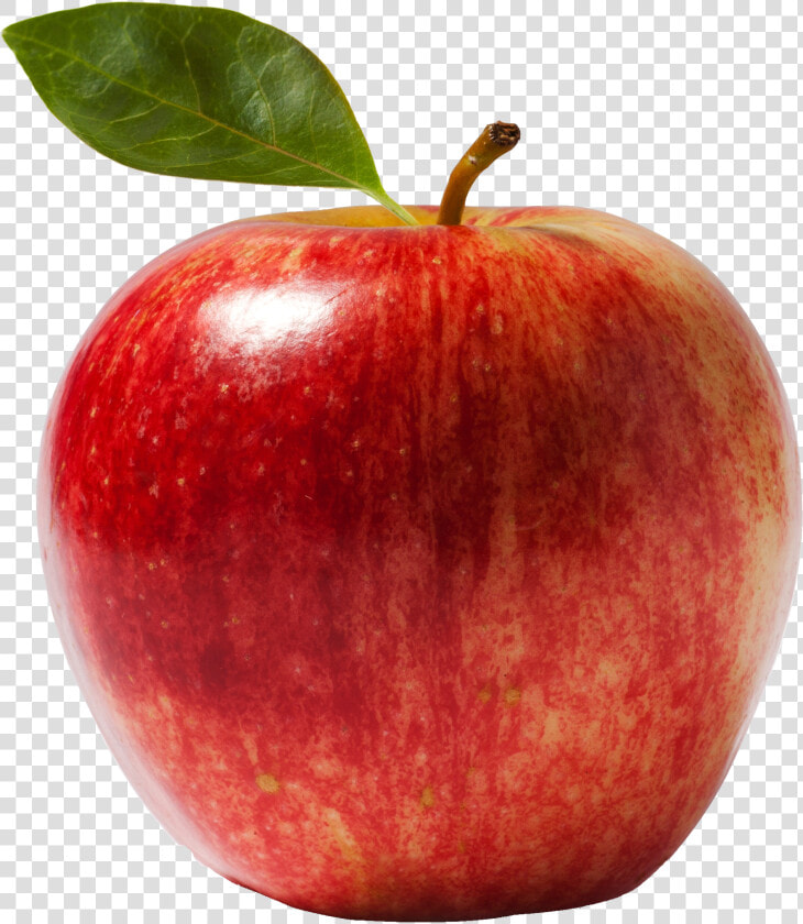 Apple Fruit Crumble Gift Basket Snack   Scientific Name Of Apple  HD Png DownloadTransparent PNG