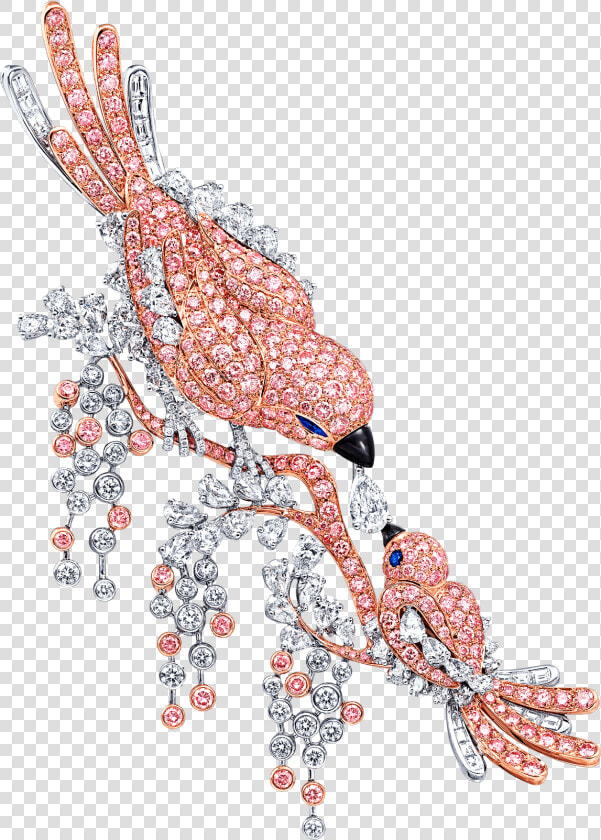 Transparent Cardinal Bird Png   Bird Graff  Png DownloadTransparent PNG