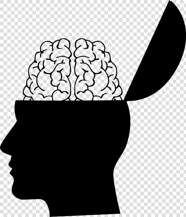 Cerebro  La Cabeza  Silueta  Creatividad  Creo Que   Head Silhouette With Brain  HD Png DownloadTransparent PNG