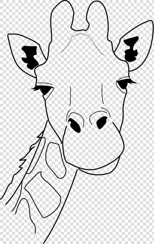 Giraffe Head Line Drawing 241412 900×1 425 Pixels   Giraffe Head Colouring Page  HD Png DownloadTransparent PNG