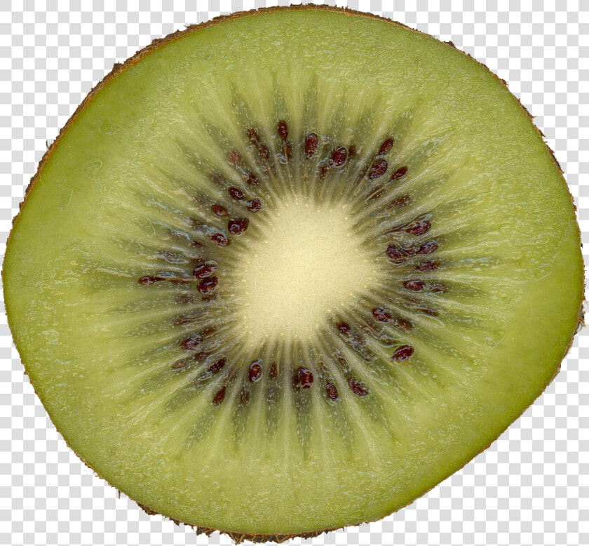 Preview   Kiwi Slice  HD Png DownloadTransparent PNG