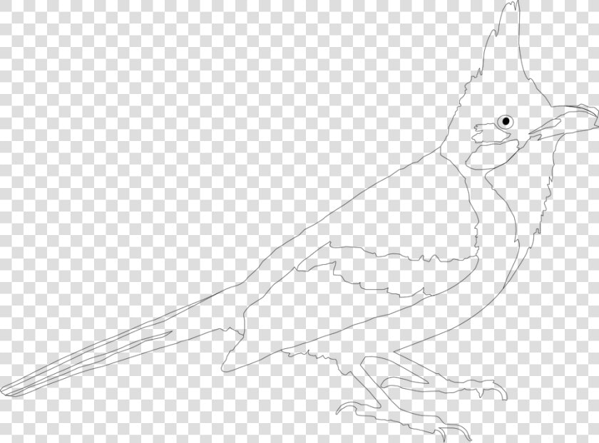 Black And White  Line Art  Art Bard  Drawn  Artist   Sketch  HD Png DownloadTransparent PNG