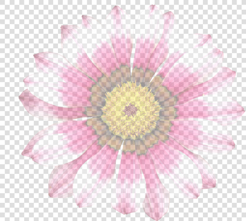 Flower Translucent  HD Png DownloadTransparent PNG