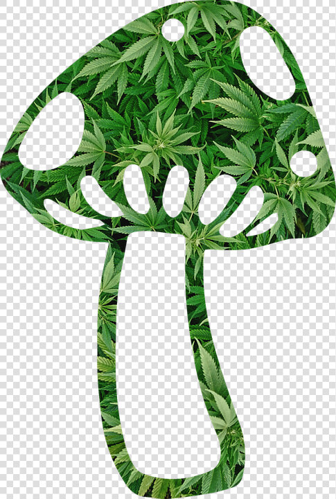 Mushroom  Shroom  Weed  Fungi  Fungus  Psychedelic   Mushroom And Weed  HD Png DownloadTransparent PNG