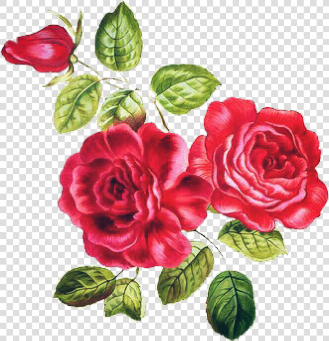  desafio  adesivo  art  flores  rosas  nature  natureza   Arte Flores Png  Transparent PngTransparent PNG