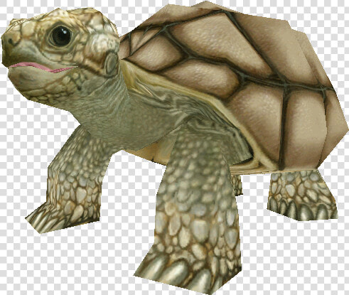 Download Zip Archive   Zoo Tycoon 2 Tortoise  HD Png DownloadTransparent PNG