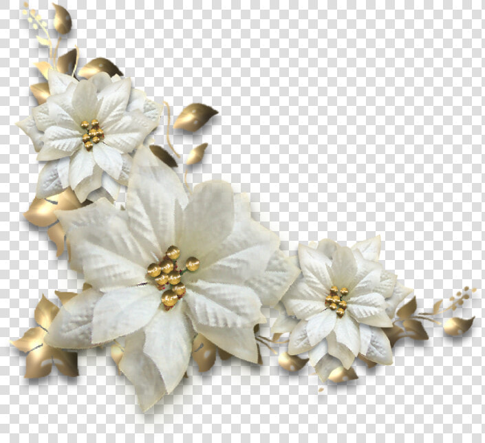 Poinsettia  HD Png DownloadTransparent PNG
