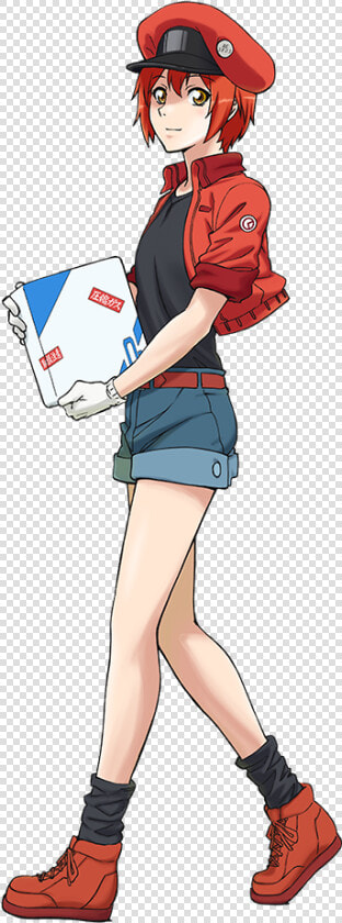 Cells At Work Red Blood Cell  HD Png DownloadTransparent PNG