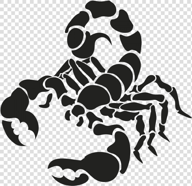 Cancer Astrology Png Download   Scorpion Vector  Transparent PngTransparent PNG
