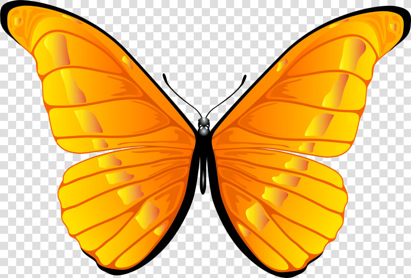 Orange Butterfly Png Clip Art Clipart 7000 4739 Bbq   Butterfly Clipart Png  Transparent PngTransparent PNG