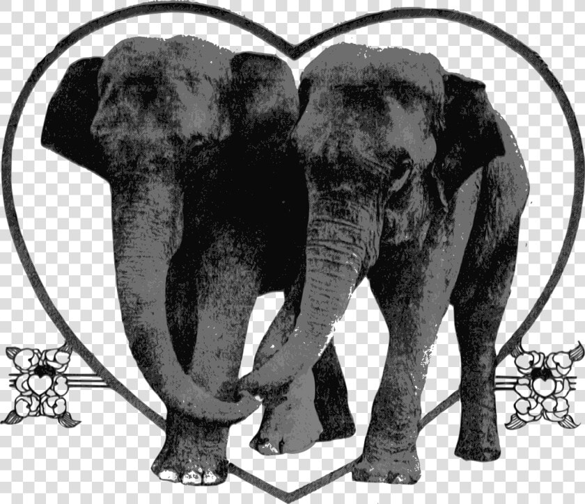 Art Elephant Lover  HD Png DownloadTransparent PNG