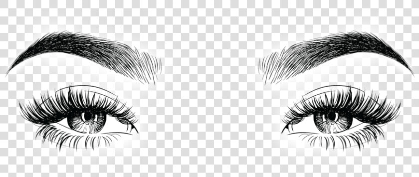 Transparent Eyebrow Png  Png DownloadTransparent PNG
