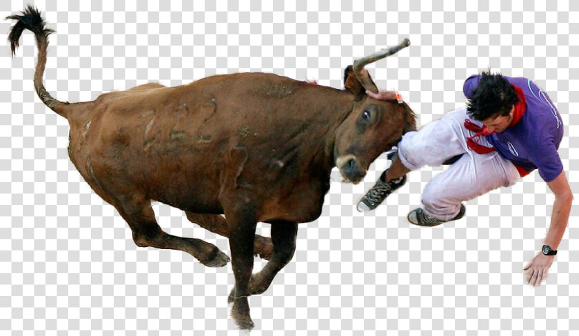 San Fermin Festival  HD Png DownloadTransparent PNG
