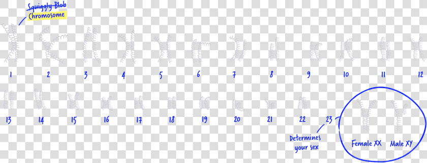Colorfulness  HD Png DownloadTransparent PNG