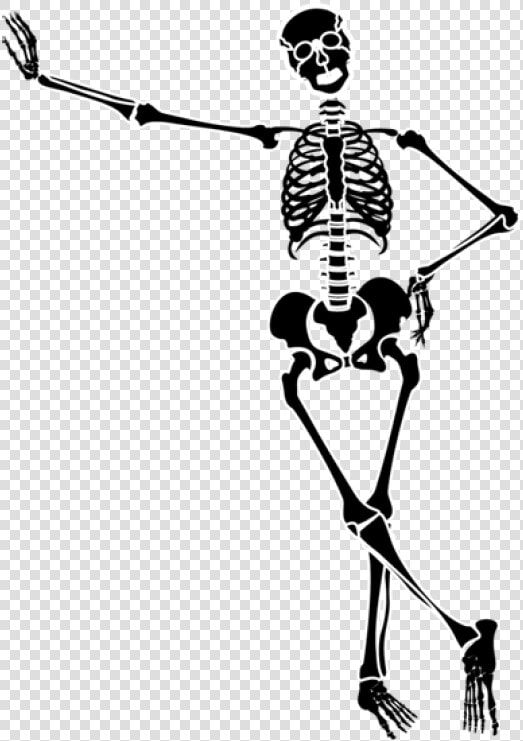 28 Collection Of Halloween Dancing Skeleton Clipart   Skeleton Clipart Png  Transparent PngTransparent PNG