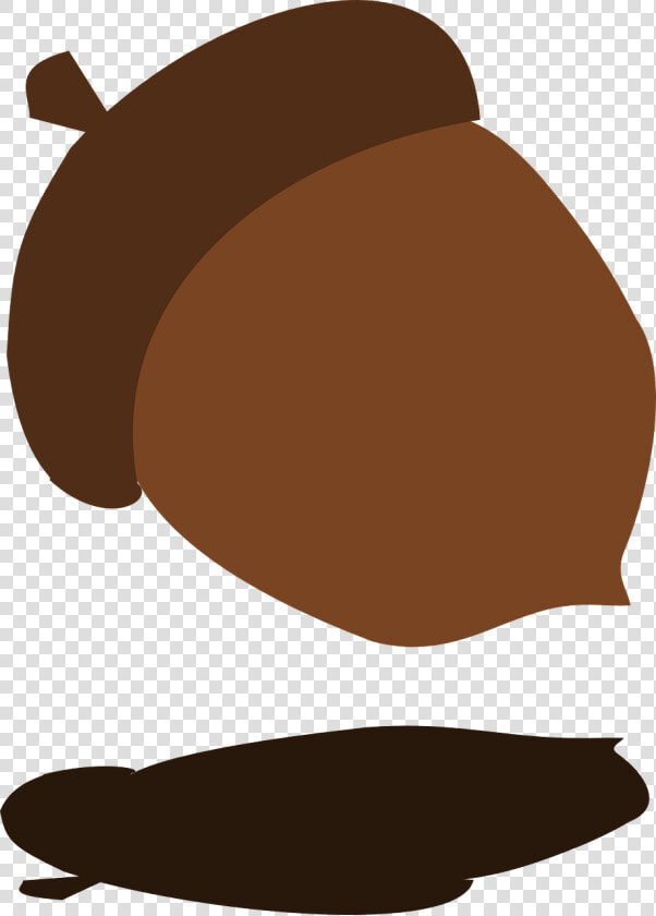 Transparent Acorn Clipart Png   Acorn Falling From Trees Gif  Png DownloadTransparent PNG