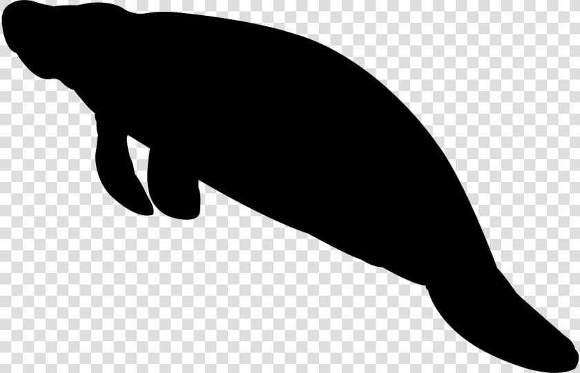 Manati Silueta  HD Png DownloadTransparent PNG